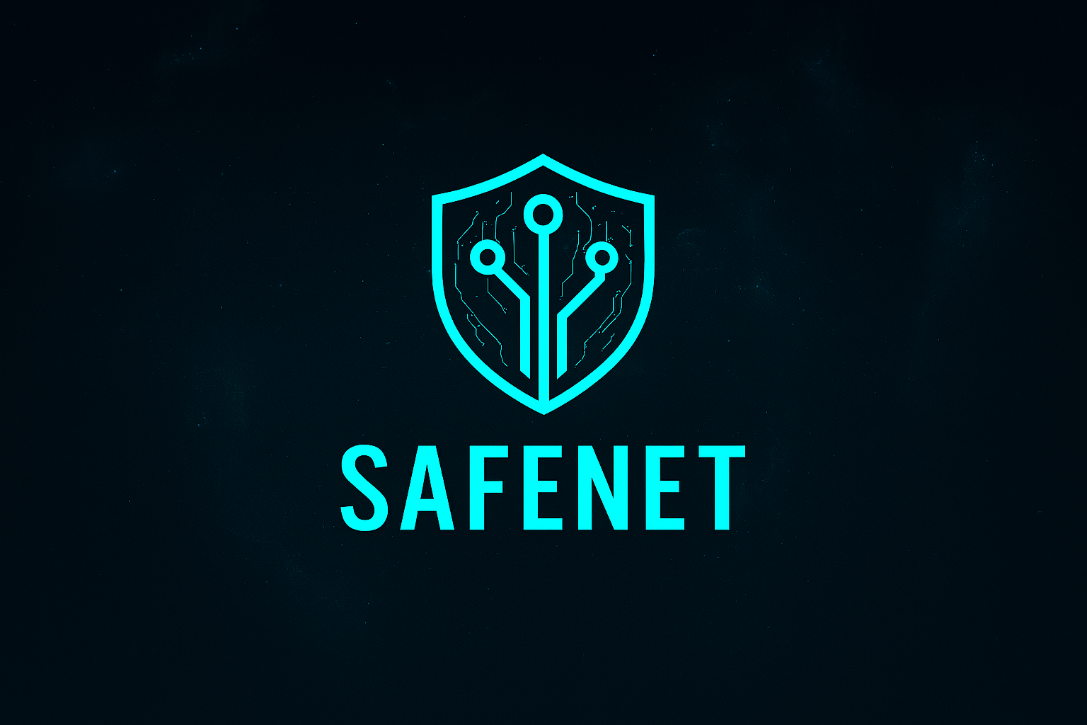SafeNet hero illustration